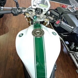 imgi_32_53c18a_e151c7f4f31446c9a3654153b430de91~mv2.jpeg