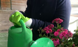 img_1726x.jpeg