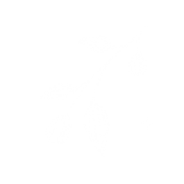 biancoflippatofiore