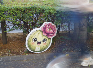 dsc06174.jpeg