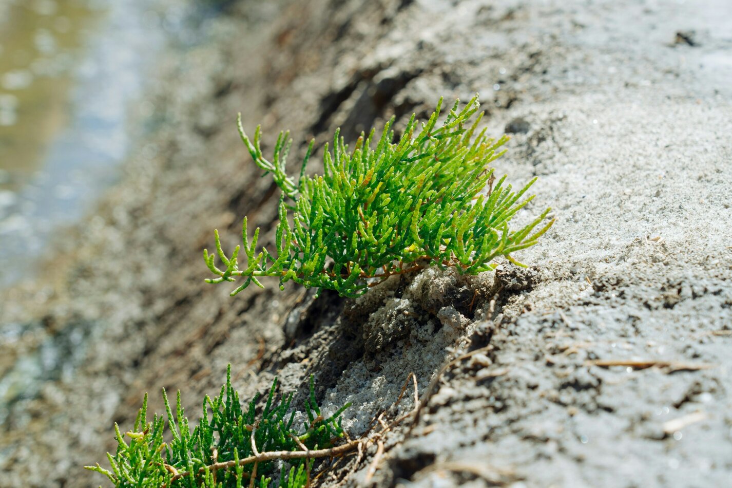 onda-colossal-rlbr5yzpa_8-unsplash.jpeg