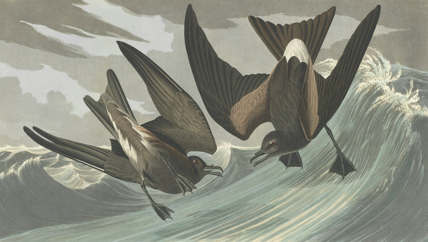 boston-public-library-dpcq1tas0xu-unsplash.jpeg