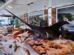 adriatischer-schwertfisch-sugo-in-handarbeit-geschnitten-premium-fischsauce-mit-nachhaltiger-fischerei