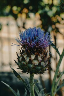 roman-petrov-cmj8r-yoiky-unsplash.jpeg roman-petrov-cmj8r-yoiky-unsplash.jpeg