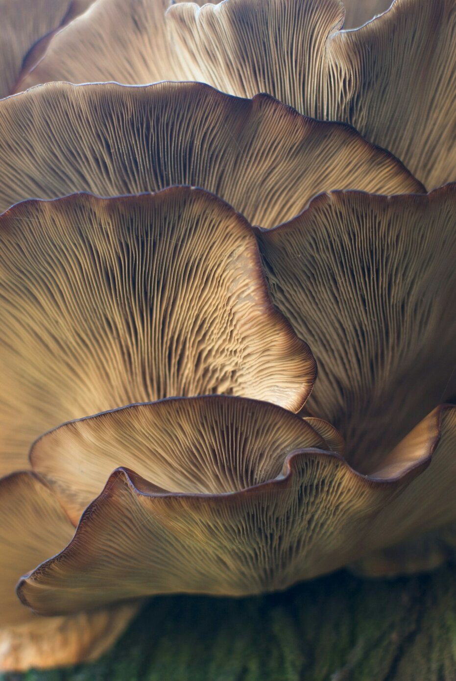 damir-omerovic-umagtammisi-unsplash.jpeg damir-omerovic-umagtammisi-unsplash.jpeg
