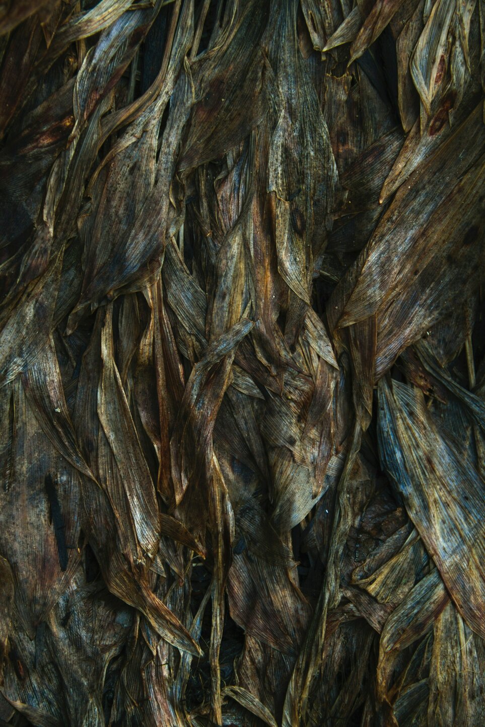 scott-rodgerson-6bdgt0jm9te-unsplash.jpeg scott-rodgerson-6bdgt0jm9te-unsplash.jpeg