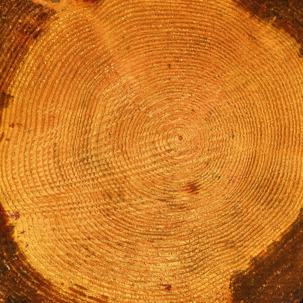 haberdoedas-kaib9rxfdym-unsplash.jpeg haberdoedas-kaib9rxfdym-unsplash.jpeg
