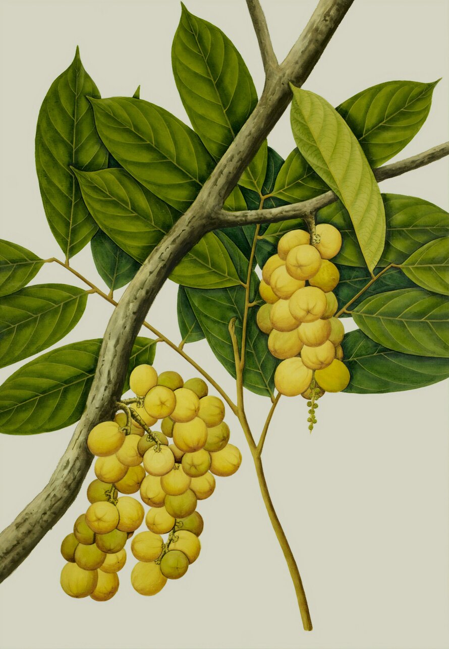 british-library-yrclmm1rmfa-unsplash.jpeg