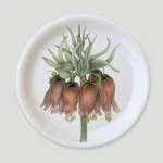 benjamin-mini-tray-charlotte-nicolin