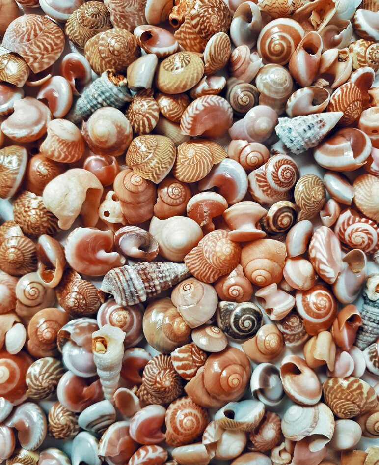 hasan-almasi-rpvbfsaam9g-unsplash.jpeg
