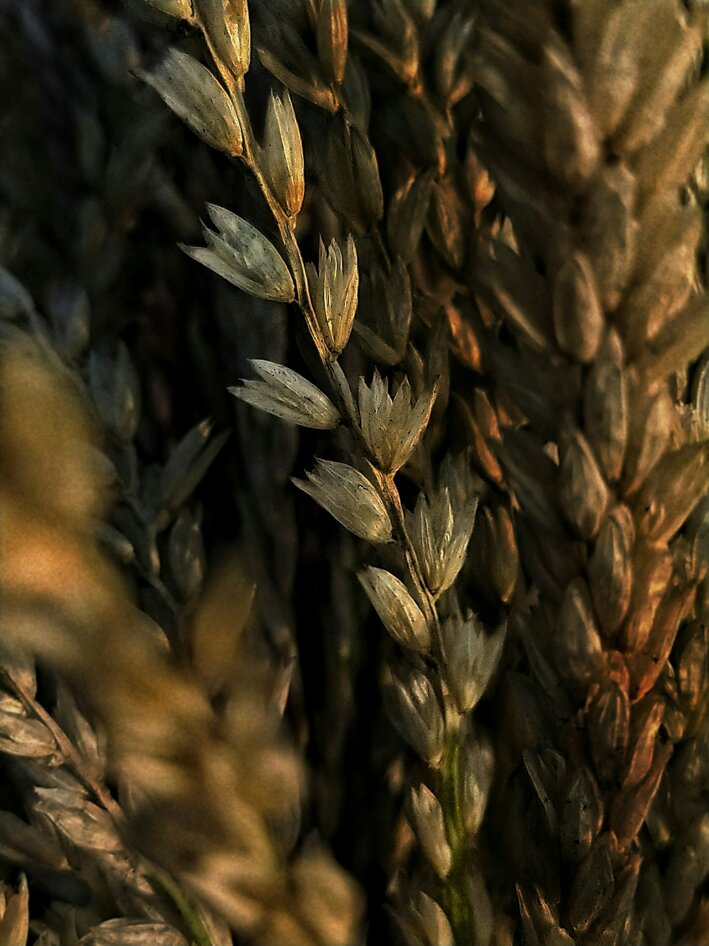 sakshi-kabra-vrvy8dm7sze-unsplash.jpeg sakshi-kabra-vrvy8dm7sze-unsplash.jpeg