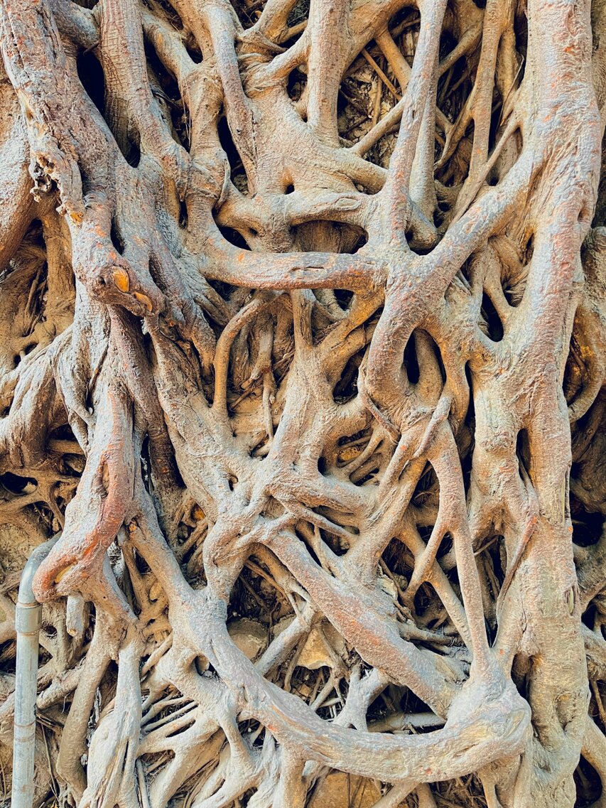 fathia-xv3upbyppfa-unsplash.jpeg fathia-xv3upbyppfa-unsplash.jpeg
