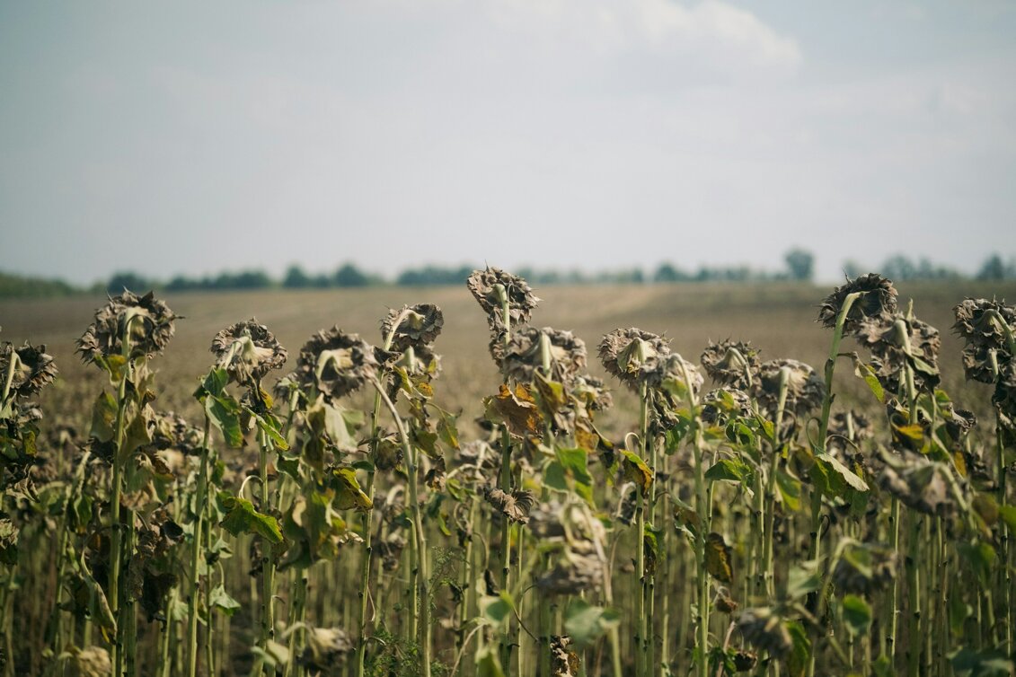 vladyslav-tobolenko-4p727dcvglo-unsplash.jpeg vladyslav-tobolenko-4p727dcvglo-unsplash.jpeg