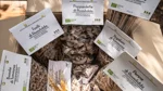 bio-calamarata-aus-russulidda-kaufen-alte-sizilianische-hartweizensorte