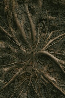 benjamin-hibbert-hingston-7esor-2qtds-unsplash.jpeg benjamin-hibbert-hingston-7esor-2qtds-unsplash.jpeg