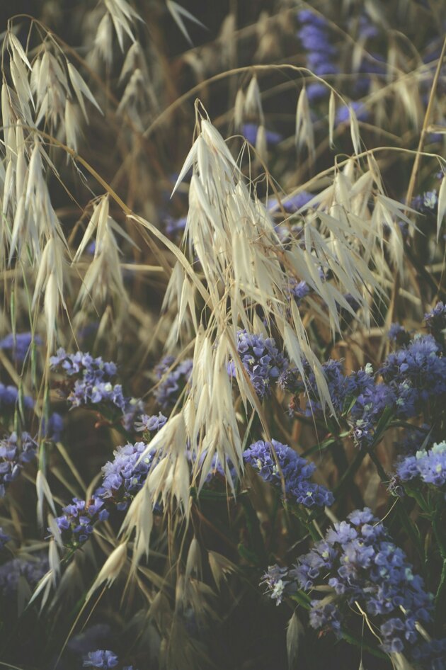 agata-marie-ujsybtqw-4q-unsplash.jpeg agata-marie-ujsybtqw-4q-unsplash.jpeg