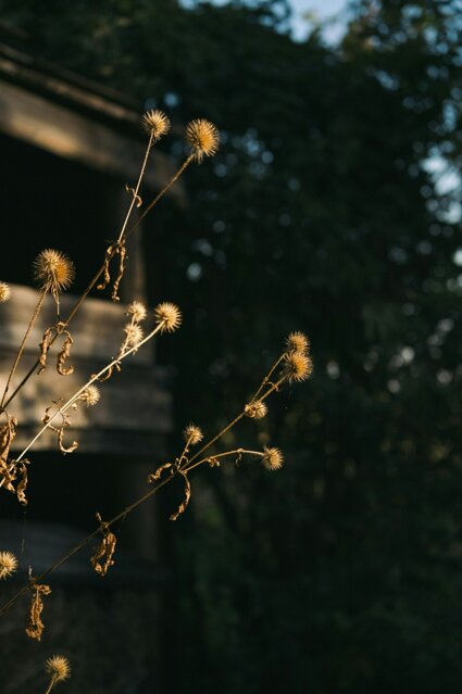 vladyslav-tobolenko-grtt4rek6qq-unsplash.jpeg vladyslav-tobolenko-grtt4rek6qq-unsplash.jpeg
