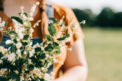 unsplash-image-2hokbfgszqc.jpeg