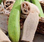 luffa-naturschwamm-100-pflanzlich-nachhaltiger-peeling-schwamm-plastikfrei-biologisch-abbaubar