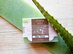 aloe-vera-seife-filicudi-aolischen-inseln