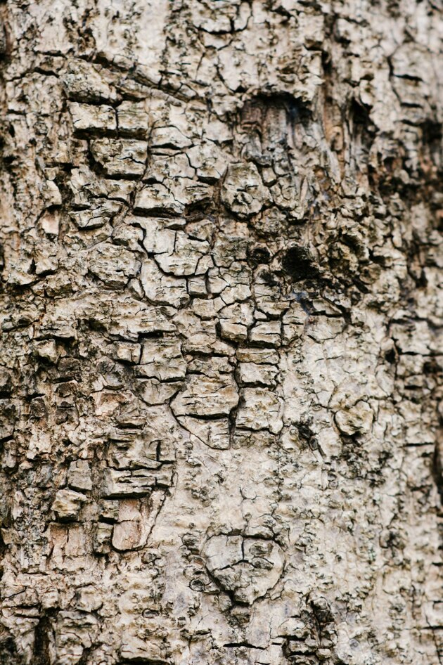alfred-quartey-zcw38mhnd3o-unsplash.jpeg