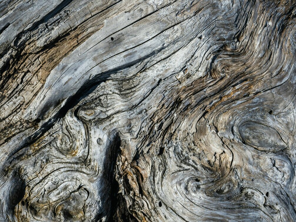 greg-rosenke-cjchga8vram-unsplash.jpeg greg-rosenke-cjchga8vram-unsplash.jpeg