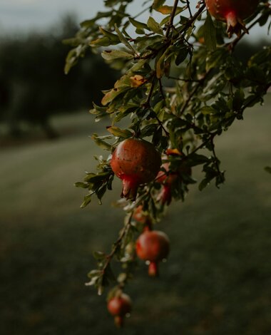 dmitry-mashkin-lnc7efzsqja-unsplash.jpeg dmitry-mashkin-lnc7efzsqja-unsplash.jpeg