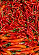 diavolicchio-calabrese-in-nativem-olivenol-extra-traditionell-eingelegte-chilischoten