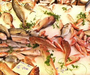 Fisch-4709932_1280