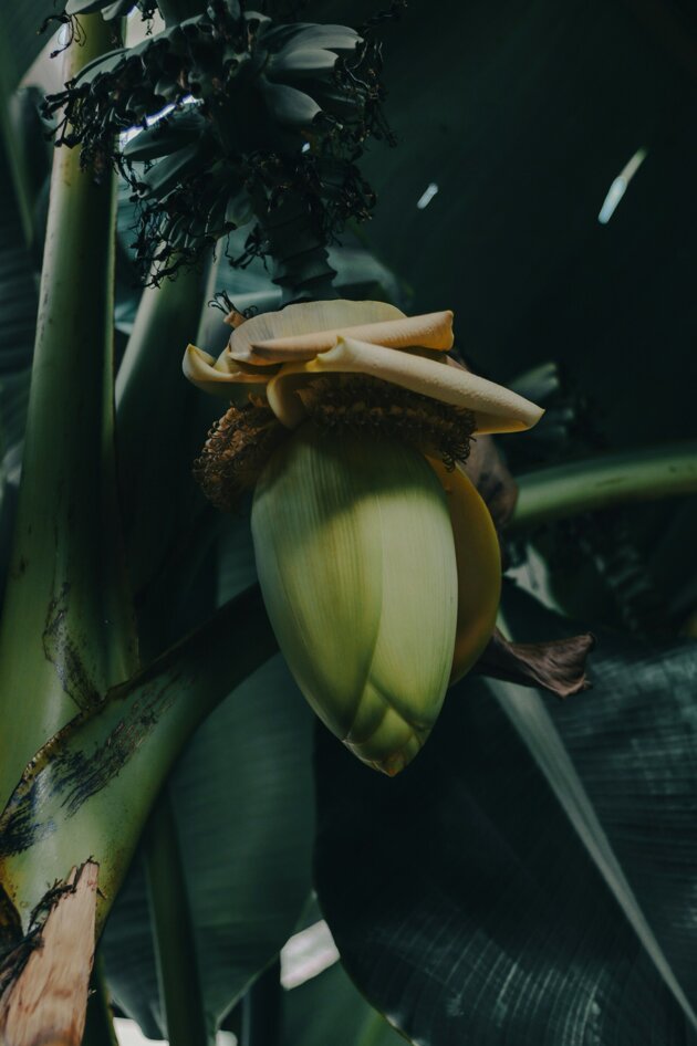 roman-petrov-mubewxtuuxi-unsplash.jpeg roman-petrov-mubewxtuuxi-unsplash.jpeg