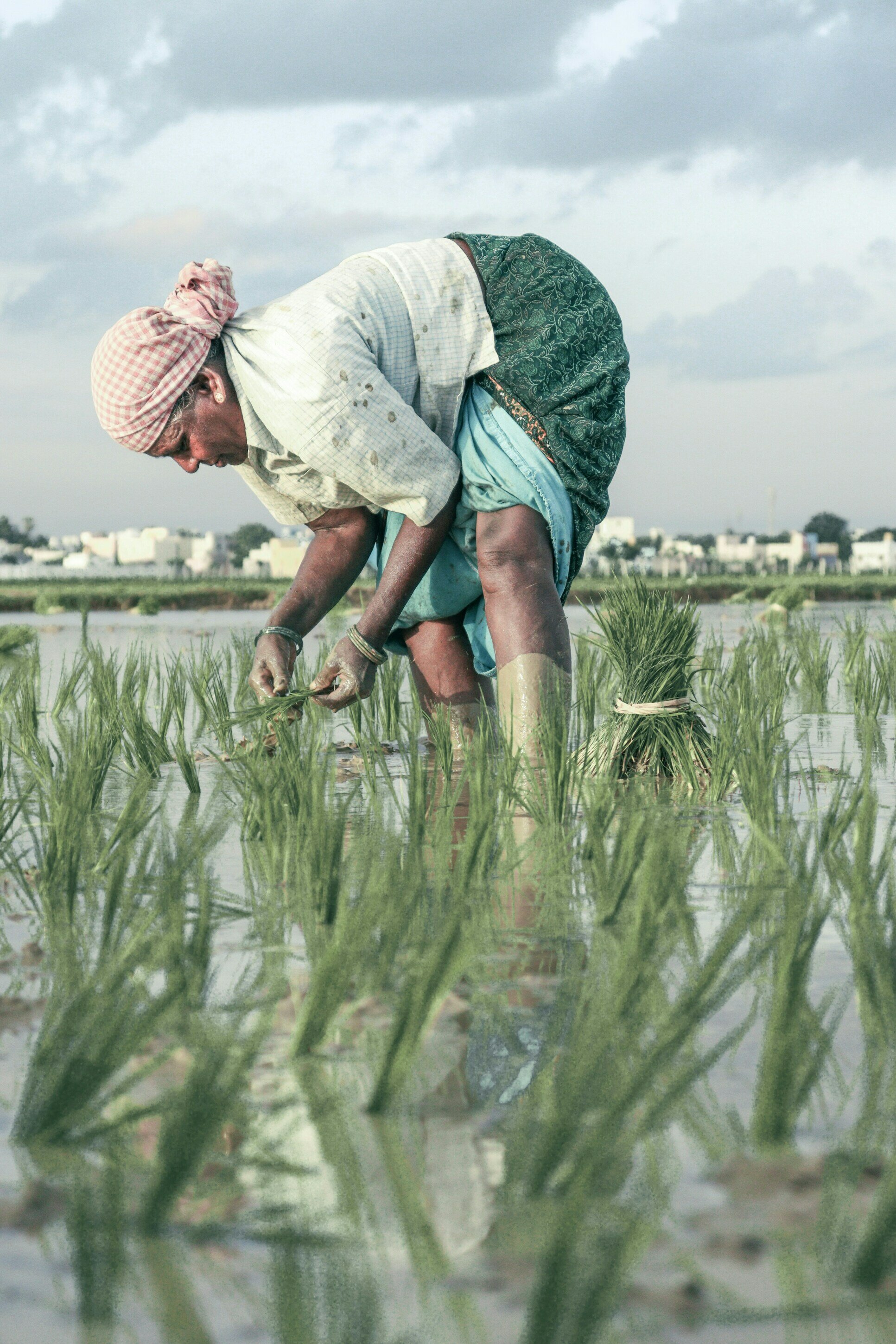 Frauen in der Landwirtschaft