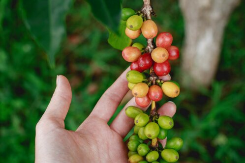 katya-ross-adg9b8ntxj0-unsplash.jpeg katya-ross-adg9b8ntxj0-unsplash.jpeg