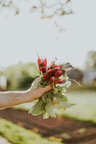 daiga-ellaby-idnk6ynaciq-unsplash.jpeg daiga-ellaby-idnk6ynaciq-unsplash.jpeg