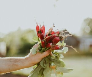 daiga-ellaby-idnk6ynaciq-unsplash