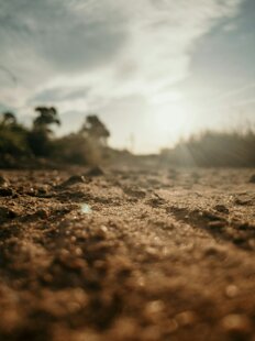 bruno-braga-pj7ndlymkq8-unsplash.jpeg bruno-braga-pj7ndlymkq8-unsplash.jpeg