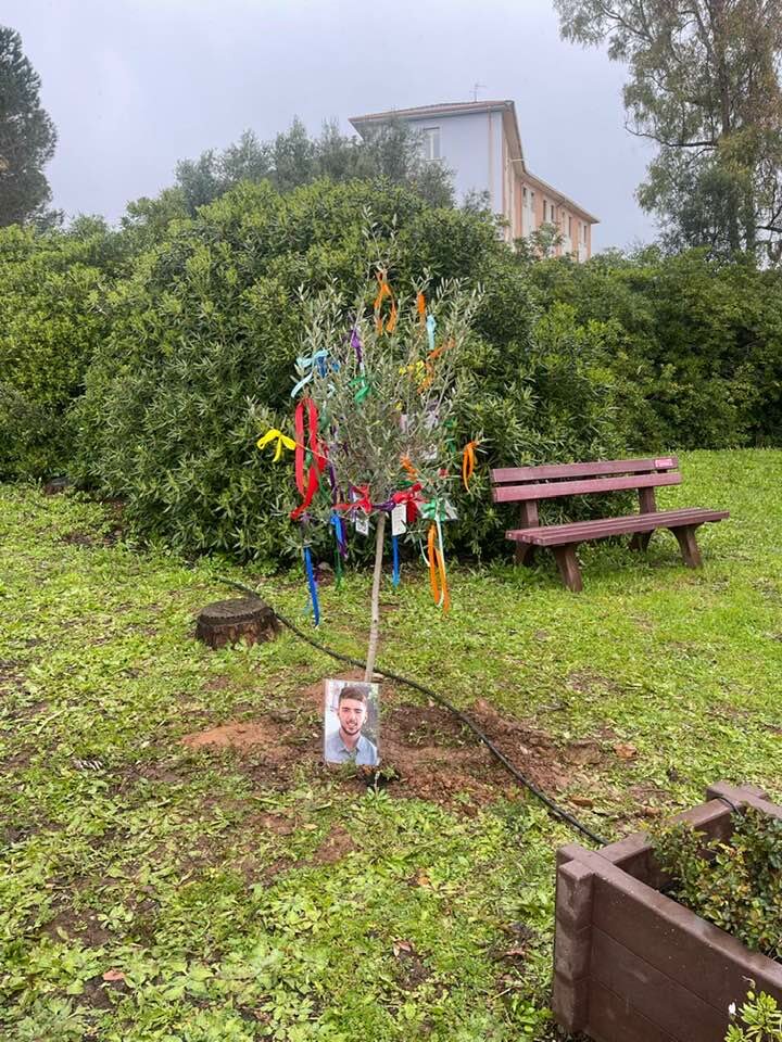 Due alberi per Alberto: un gesto che guarda al futuro
