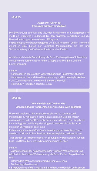 in 6 modulen zu mehr sinnesorientierung und nachhaltig positiver entwicklung (4)