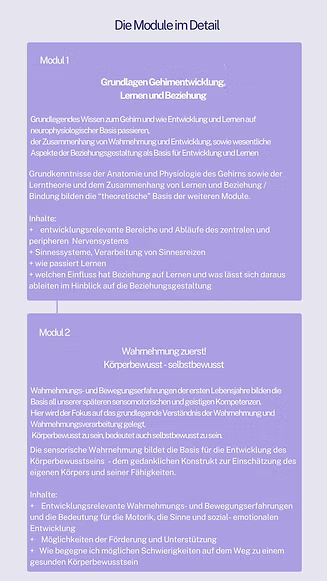 in 6 modulen zu mehr sinnesorientierung und nachhaltig positiver entwicklung (2)