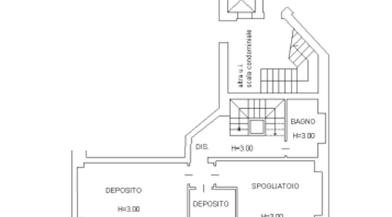redi2.webp