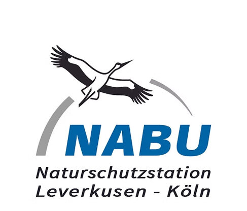 nabu.jpeg