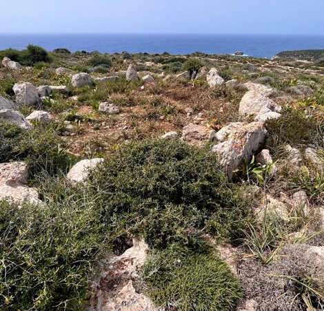 lampedusa9.jpeg