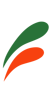 effet-nacho-del-salsa