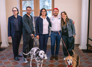 _dsc0396.jpeg