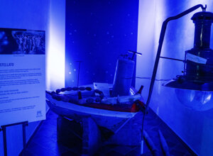 _dsc0303.jpeg