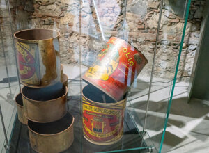 _dsc0209.jpeg