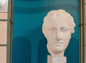 _dsc0263.jpeg