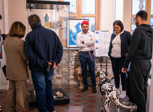 _dsc0230.jpeg