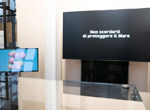 _dsc0186.jpeg