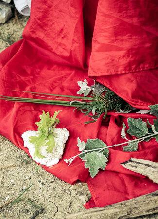 _dsc7773.jpeg
