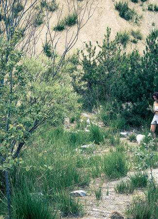 _dsc7926.jpeg